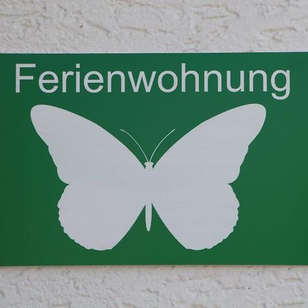 Ferienwohnung Schmetterling Trendelburg Eksteriør billede